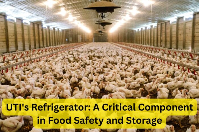 UTI’s Refrigerator: A Critical Component in Food Safety and Storage